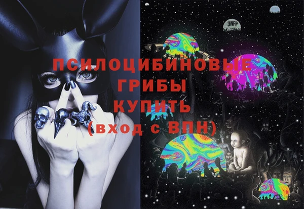 стафф Сатка
